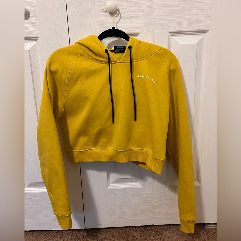 Alphalete hoodie